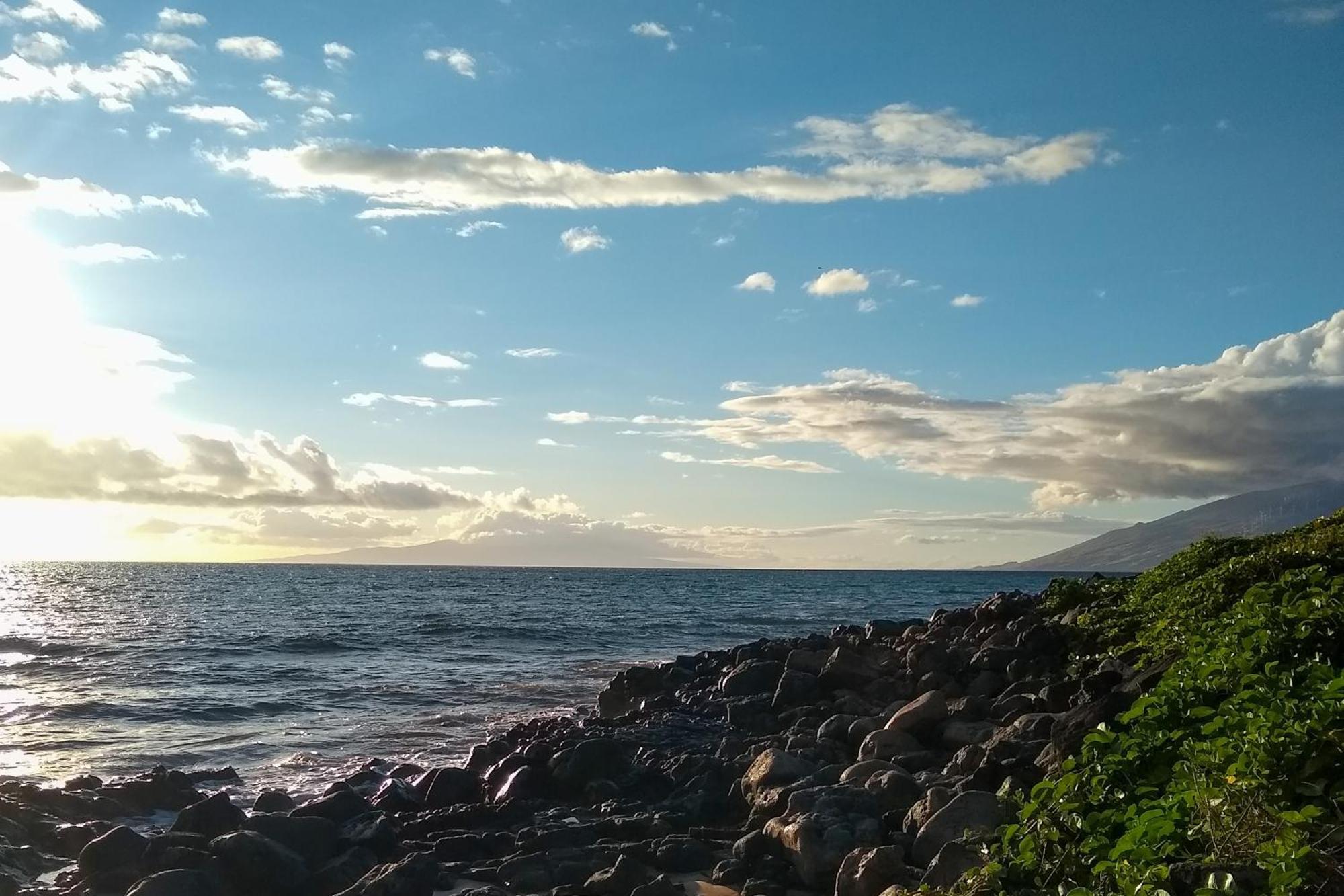 Maui Banyan Villa Wailea  Oda fotoğraf