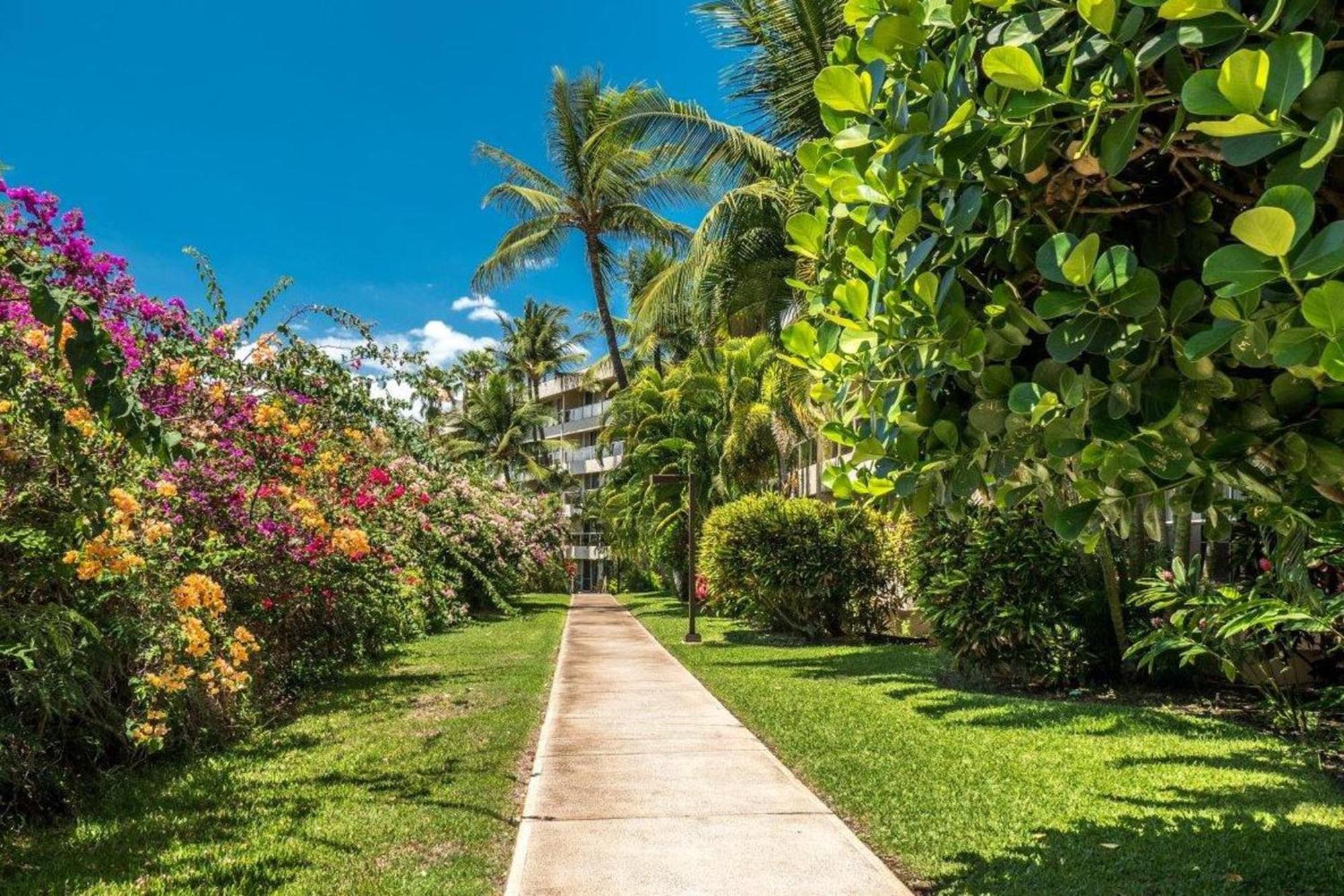 Maui Banyan Villa Wailea  Oda fotoğraf