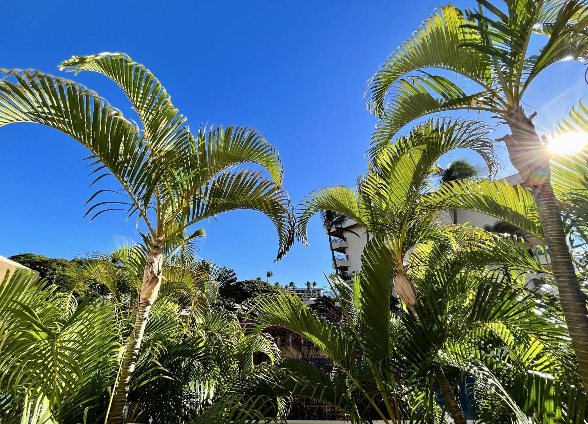 Maui Banyan Villa Wailea  Oda fotoğraf