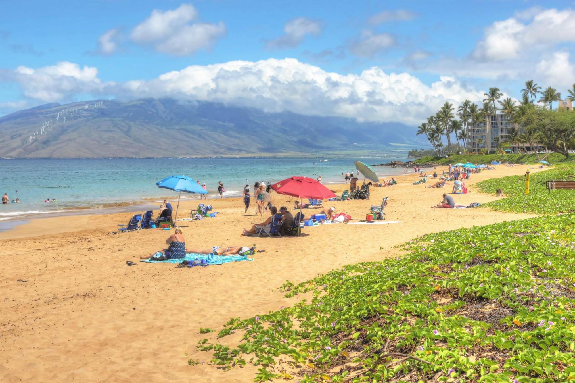 Maui Banyan Villa Wailea  Oda fotoğraf
